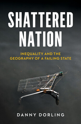 Book cover for Shattered Nation