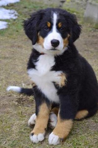 Cover of Burmese Mountain Dog Puppy Journal