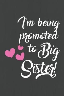 Book cover for I'm Being Promoted to Big Sister