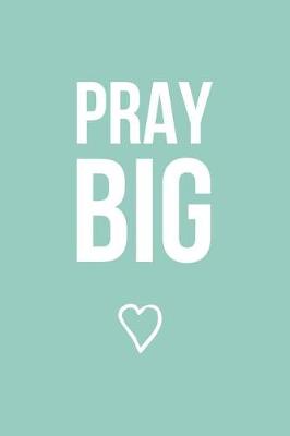 Book cover for Pray Big (Mint)