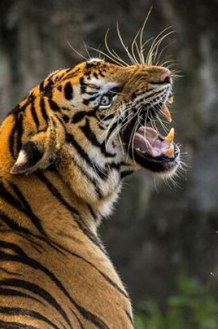Cover of Roaring Tiger Big Cat Journal