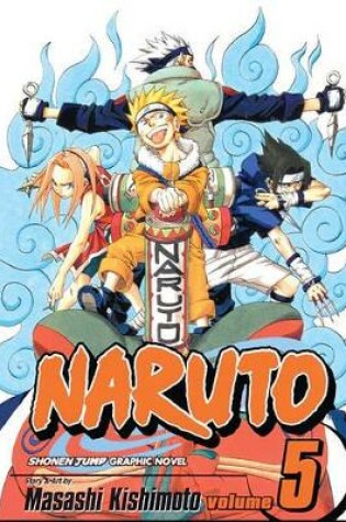 Cover of Naruto, V05