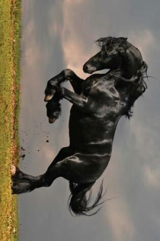 Cover of A Beautiful Black Horse Rearing Up