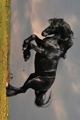 Book cover for A Beautiful Black Horse Rearing Up