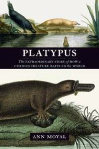 Cover of Platypus