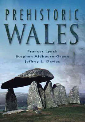 Book cover for Prehistoric Wales