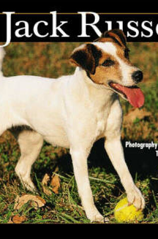 Cover of Just Jack Russells