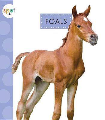 Book cover for Foals