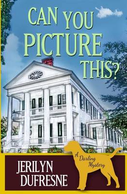 Book cover for Can You Picture This?