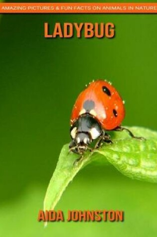 Cover of Ladybug