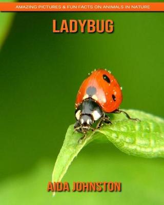 Book cover for Ladybug