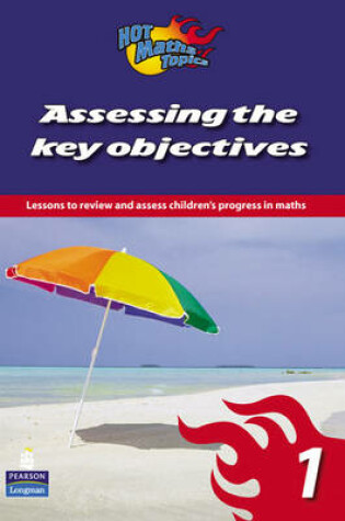 Cover of Hot Maths Topics: Assessing the Key Objectives 1