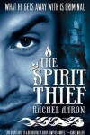 Book cover for The Spirit Thief