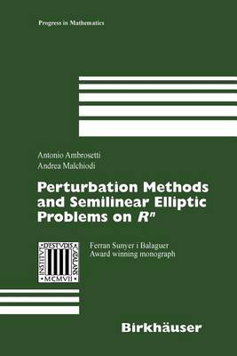 Book cover for Perturbation Methods and Semilinear Elliptic Problems on R Degreesn
