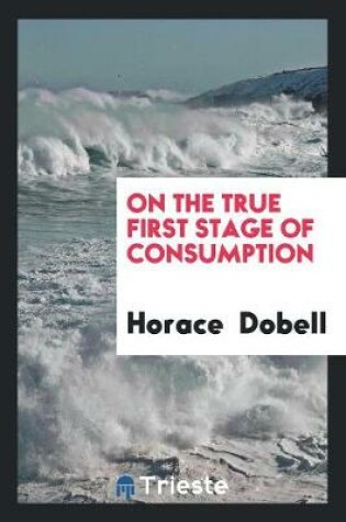 Cover of On the True First Stage of Consumption