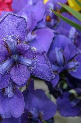 Cover of Journal Flowers Pretty Purple Iris