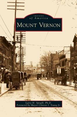 Book cover for Mount Vernon