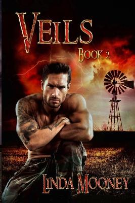 Book cover for Veils 2