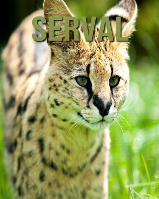 Book cover for Serval