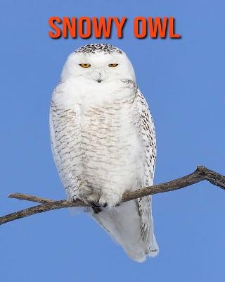 Book cover for Snowy Owl