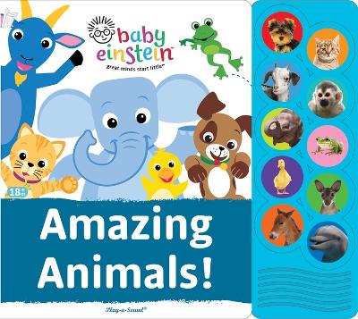 Book cover for Baby Einstein: Amazing Animals! Sound Book