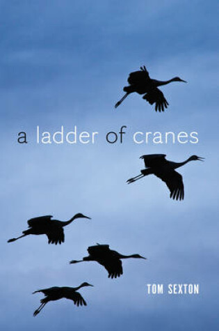 Cover of A Ladder of Cranes