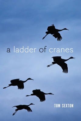 Book cover for A Ladder of Cranes