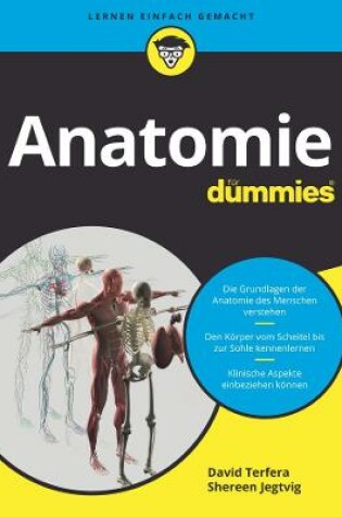 Cover of Anatomie für Dummies