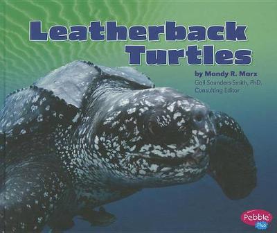 Cover of Leatherback Turtles