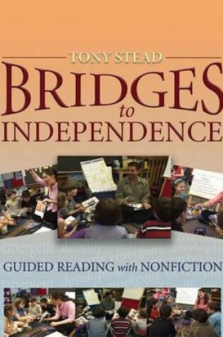 Cover of Bridges to Independence (Vhs)