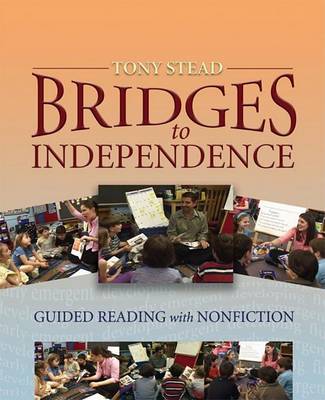 Book cover for Bridges to Independence (Vhs)