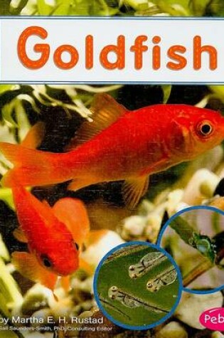 Cover of Goldfish