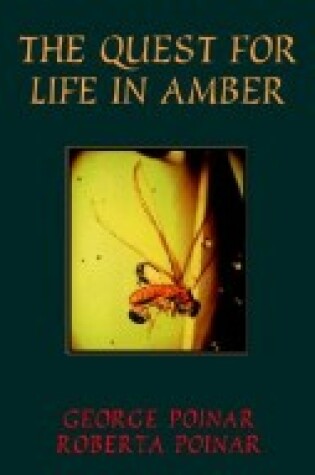 Cover of The Quest for Life in Amber