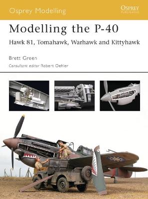 Cover of Modelling the P-40