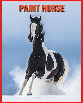 Book cover for Paint Horse