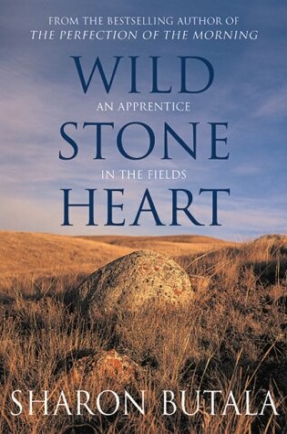 Cover of Wild Stone Heart