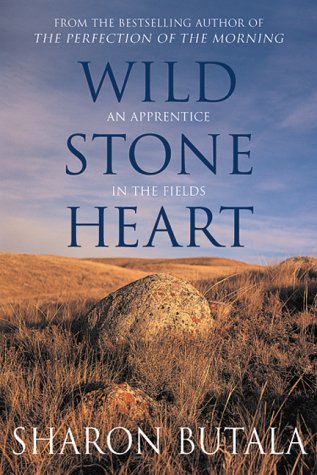 Book cover for Wild Stone Heart