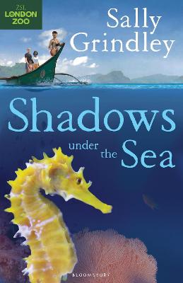 Book cover for Shadows under the Sea