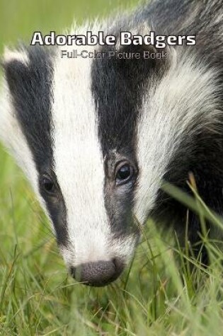 Cover of Adorable Badgers Full-Color Picture Book