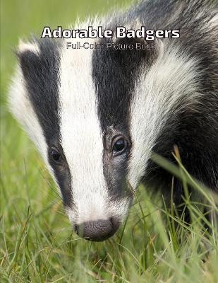 Book cover for Adorable Badgers Full-Color Picture Book