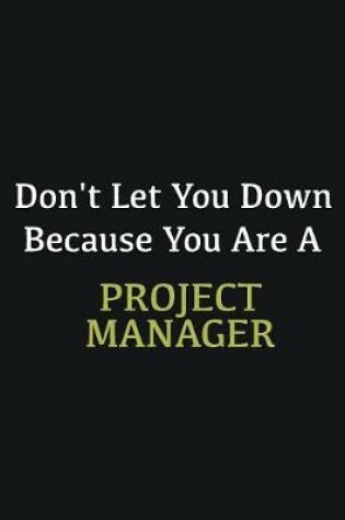 Cover of Don't let you down because you are a Project Manager