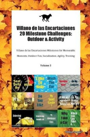 Cover of Villano de las Encartaciones 20 Milestone Challenges