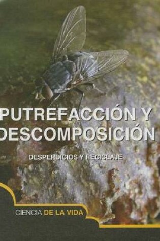 Cover of Putrefacción Y Descomposición