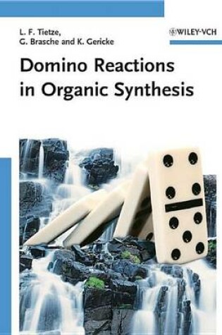 Cover of Domino Reactions in Organic Synthesis