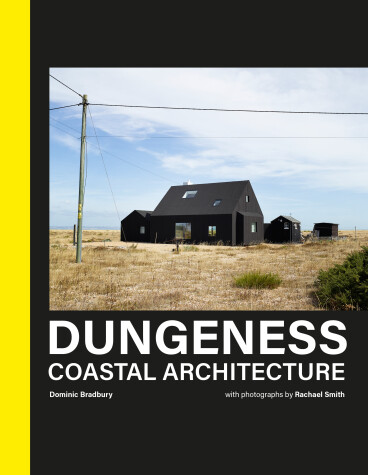 Book cover for Dungeness