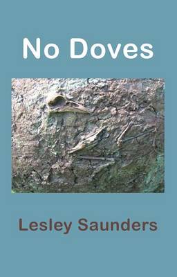 Book cover for No Doves