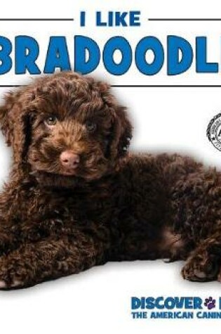 Cover of I Like Labradoodles!