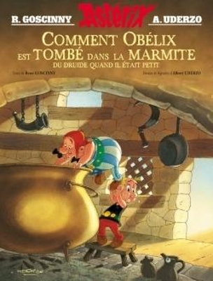 Book cover for Comment Obelix est tombe dans la marmite du druide...