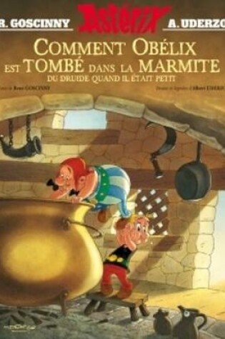 Cover of Comment Obelix est tombe dans la marmite du druide...