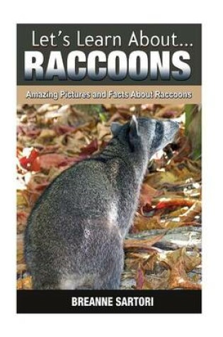 Cover of Raccoons